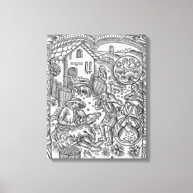 Juni, Schafscheren, Gemini Leinwanddruck (Vorderseite)