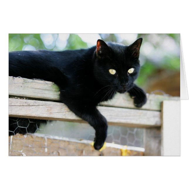 Junior (Vorderseite (Horizontal))