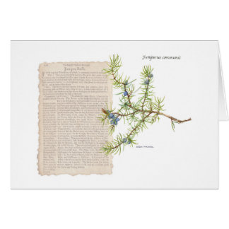 Junior mit historischer Beschreibung seiner Verwen