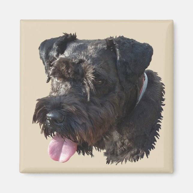 Junior The Schnauzer, Magnet (Vorne)