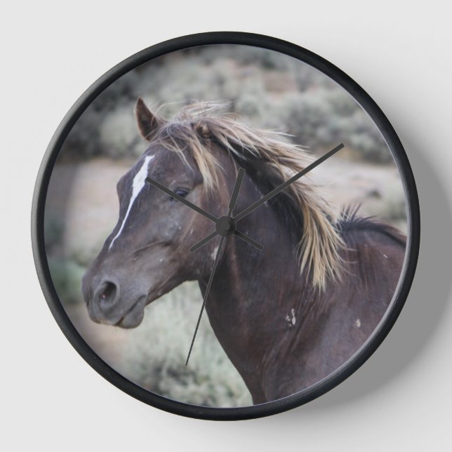 Junioruhr Uhr (Vorderseite)