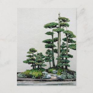 Juniper Bonsai Forest Postkarte