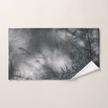 Juniper Dark Moody Floral Nature Foto