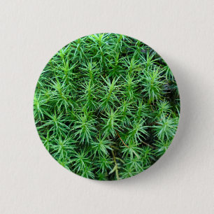 Juniper Hair Cap Moss Abzeichen Button