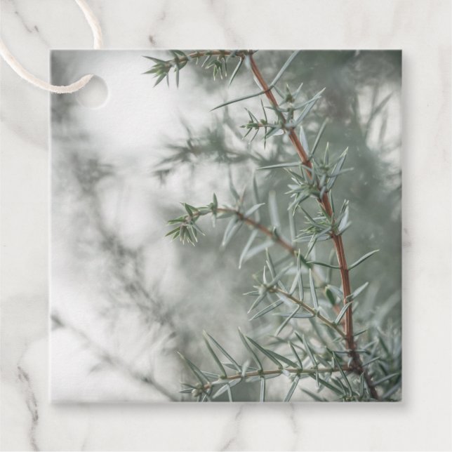 Juniper Nature Foto Geschenkanhänger (Vorderseite)