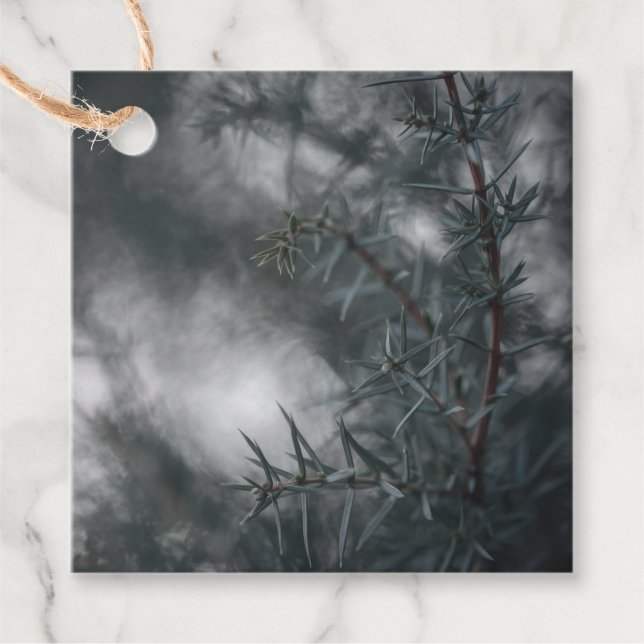 Juniper Nature Foto Geschenkanhänger (Vorderseite)