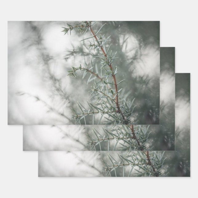 Juniper Nature Foto Geschenkpapier Set (Set)
