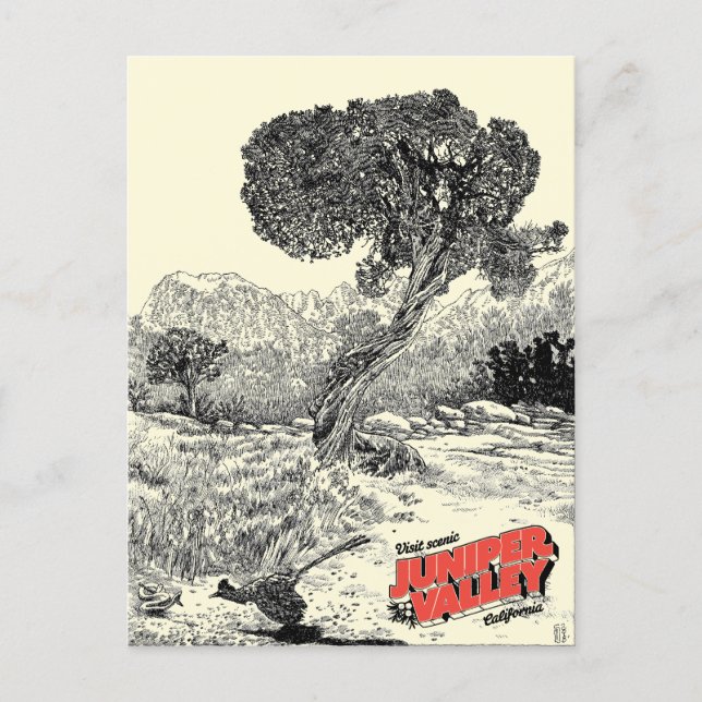 Juniper Valley Wilderness - Postcard Postkarte (Vorderseite)