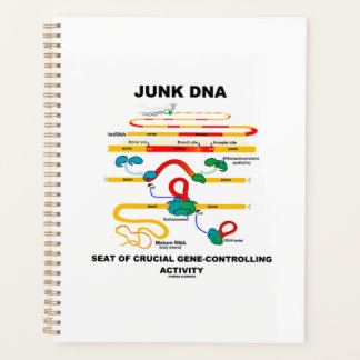 Junk DNA Seat Of Crucial Gene-Controlling Activity Planer
