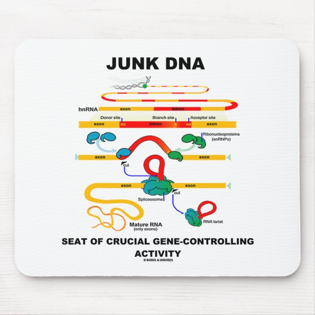 Junk-DNA-Sitzplatz von entscheidender Bedeutung fü Mousepad (Vorne)