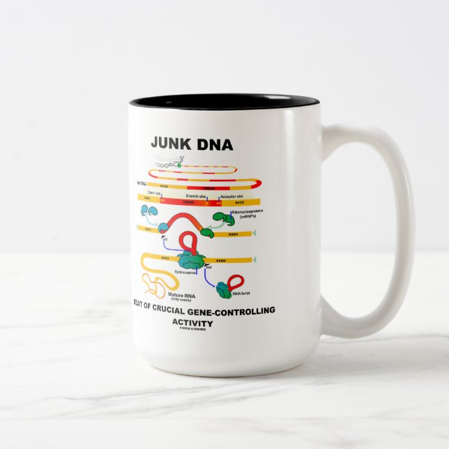 Junk-DNA-Sitzplatz von entscheidender Bedeutung fü Zweifarbige Tasse (Rechts)