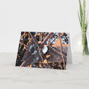 Junk Pile Rust und Fungi Still Life Karte