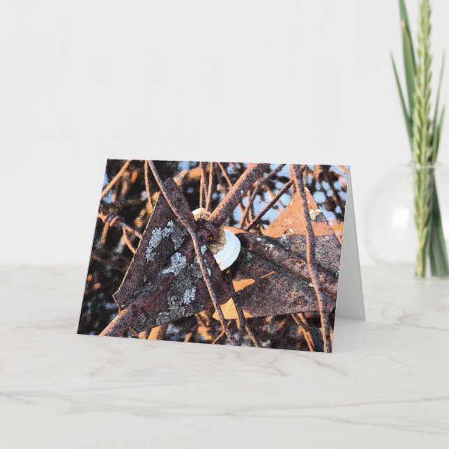 Junk Pile Rust und Fungi Still Life Karte (Vorderseite)