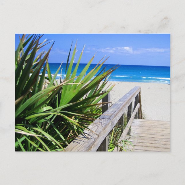 Juno Beach Florida Postkarte (Vorderseite)