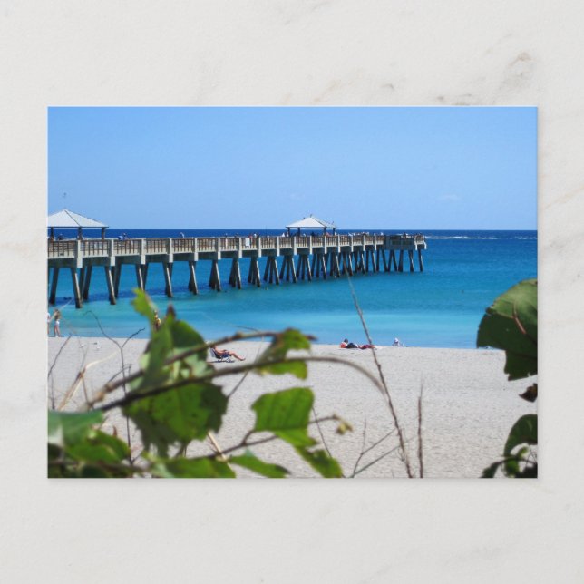 Juno Beach Pier Postkarte (Vorderseite)