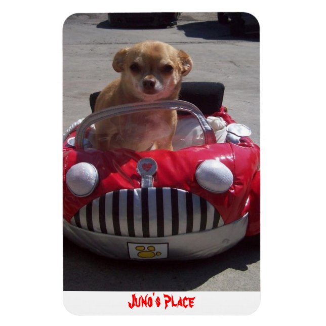 Juno Magnet (Vertikal)