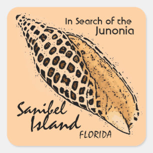 Junonia Muschel Sanibel Insel-Florida-Aufkleber Quadratischer Aufkleber