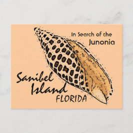 Junonia Muschel Sanibel Island Spaß Postkarte