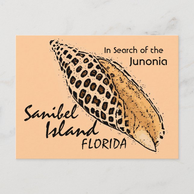 Junonia Muschel Sanibel Island Spaß Postkarte (Vorderseite)
