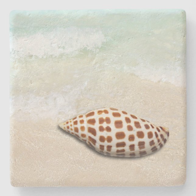 Junonia Seashell am Strand Untersetzer (Vorderseite)