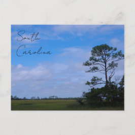 Junting Island Marsh Postkarte