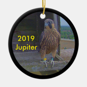 Jupiter der Keramik Ornament