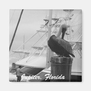 Jupiter, Florida Boats & Pelican Foto Magnet