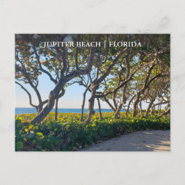 Jupiter Florida Postcard Seepromenade Postkarte