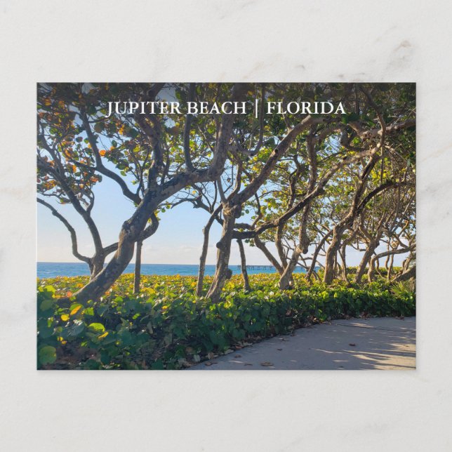 Jupiter Florida Postcard Seepromenade Postkarte (Vorderseite)