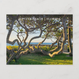 Jupiter Florida Postkarte