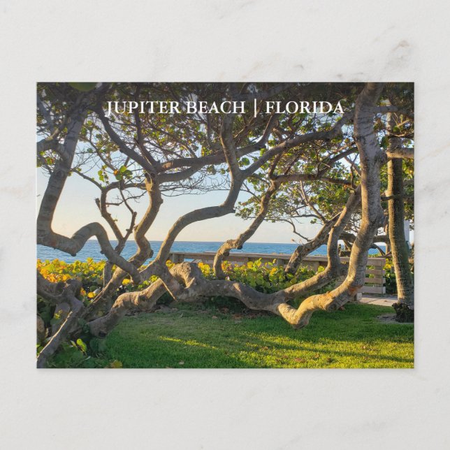 Jupiter Florida Postkarte (Vorderseite)