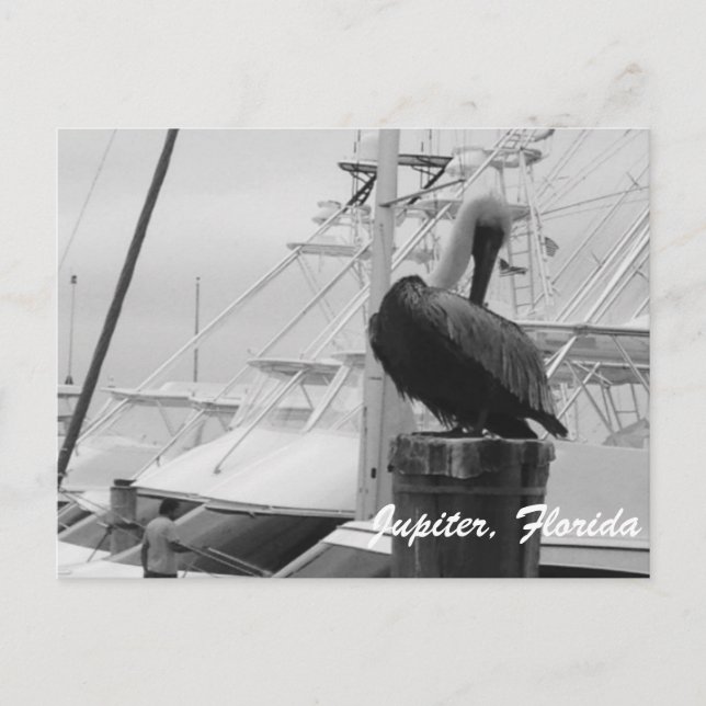 Jupiter, Postkarte des Pelikanischen Fotos (Vorderseite)