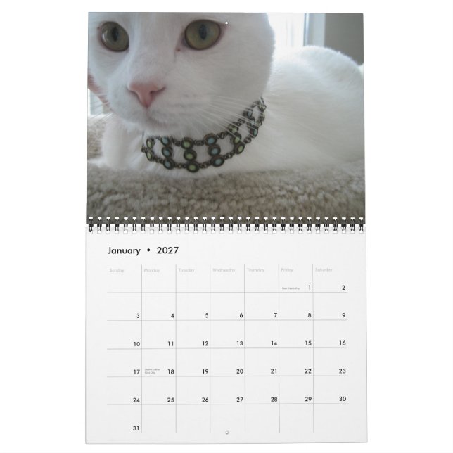 Jupiter und Konas Kitty Calender 2011-2012 Kalender (Jan 2027)