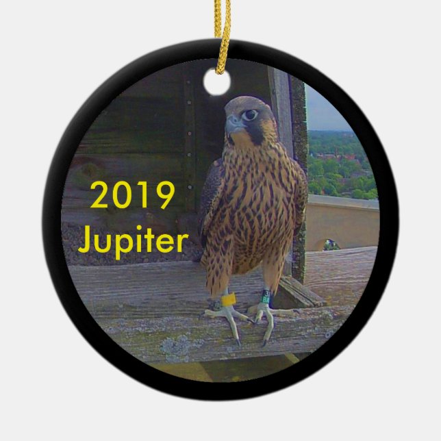 Jupiter zur Keramik 2019 Ornament (Vorne)