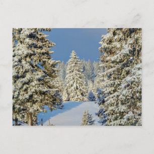 Juragebirge bei Wintersonnenuntergang, Schweiz Postkarte