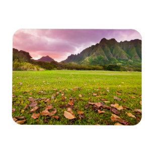 Jurasonnenuntergang Magnet