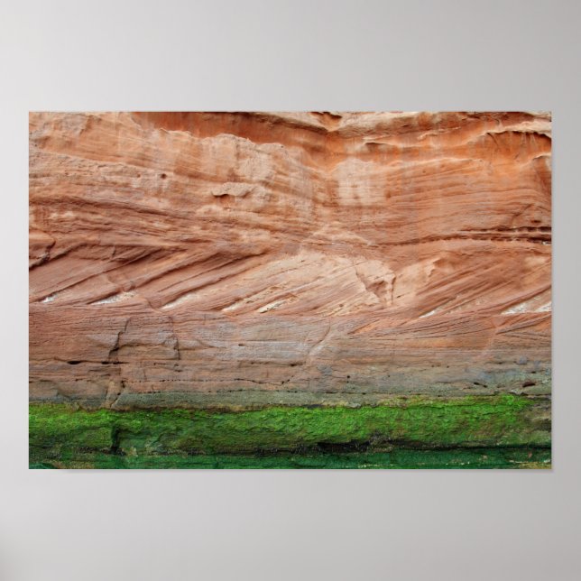 Jurassic Coast red rocks, Devon, England Poster (Vorne)