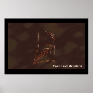 Jurassic Fossil Poster