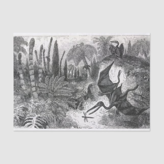 Jurassic Pterodactylus Seidenpapier (Vorderseite)