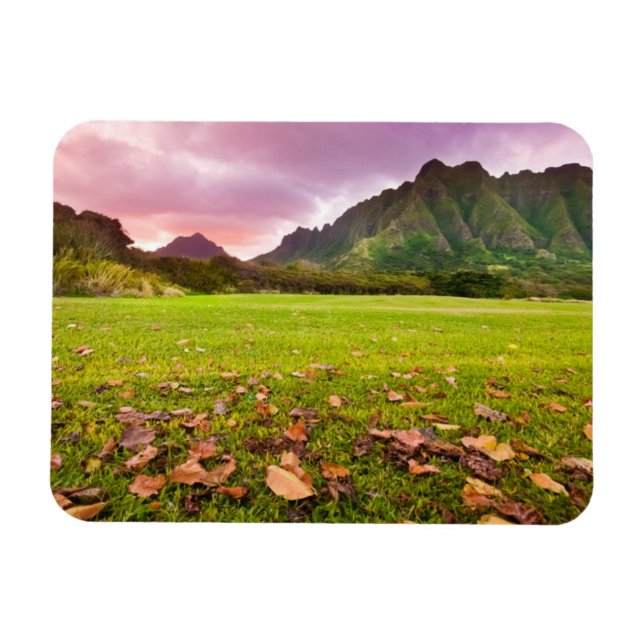 Jurassic Sunset Magnet (Horizontal)