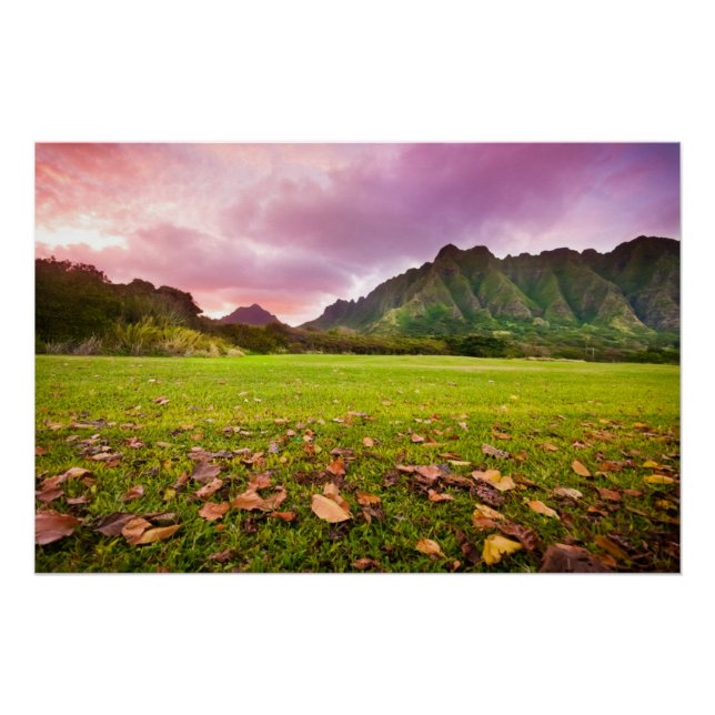 Jurassic Sunset Poster (Vorderseite)