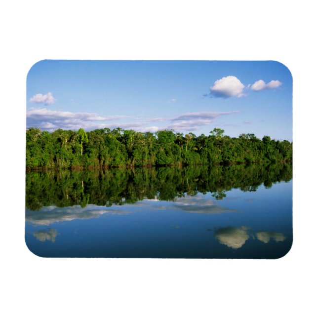 Juruena, Brasilien. Bewaldete Flussbank reflektier Magnet (Horizontal)