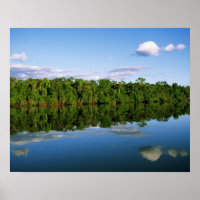 Juruena, Brasilien. Bewaldete Flussbank reflektier