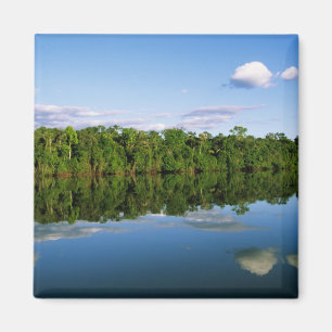 Juruena, Brasilien. Ufer eines bewaldeten Flusses Magnet