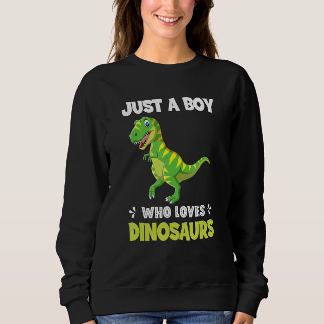 Just A Boy Who Loves Dinosaurs Rawr Rex Dinosaur Sweatshirt (Vorderseite)