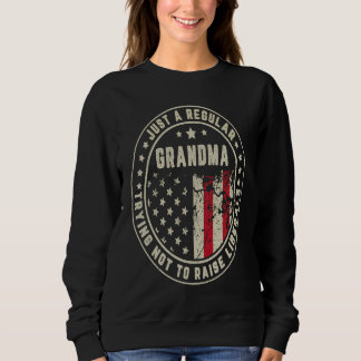 Just A Regular Grandma Trying Not To Raise America Sweatshirt