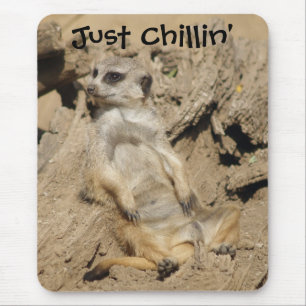 Just Chillin' Meerkat Foto Mouse Pad Mousepad