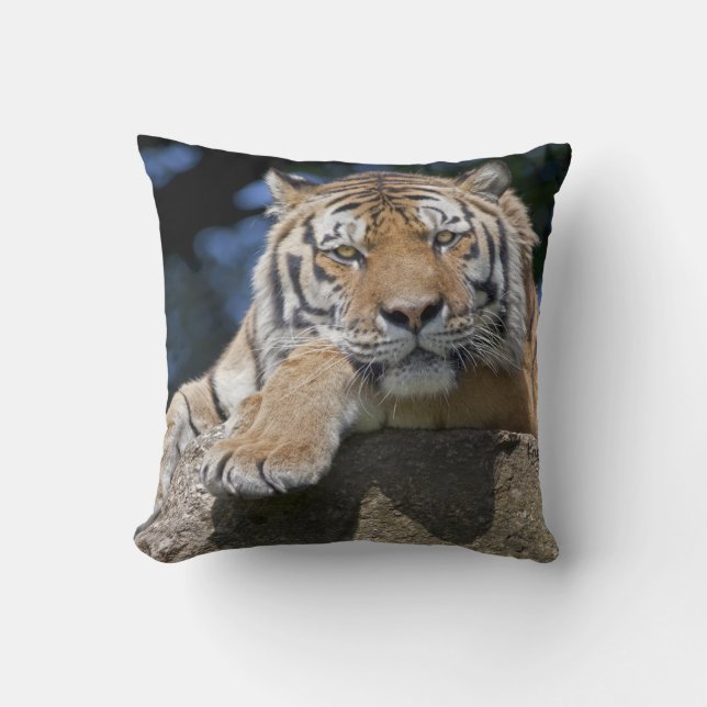Just Chillin Pillow Kissen (Vorderseite)