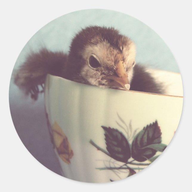 Just Chillin' Runder Aufkleber (Vorderseite)