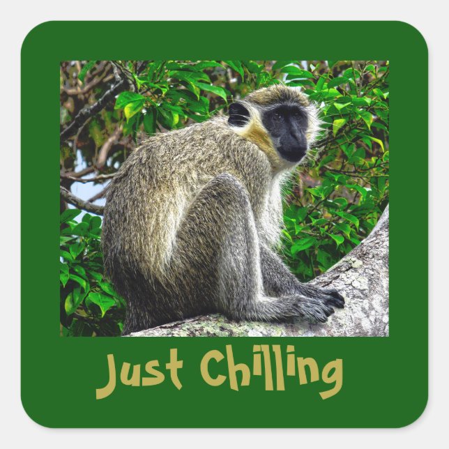 "Just Chilling" Green Monkey Print Square Sticker (Vorderseite)